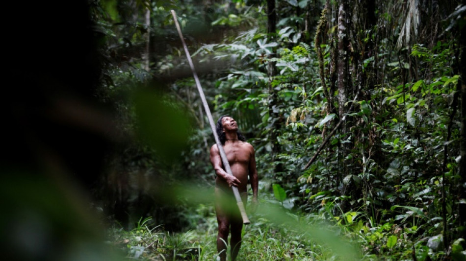 En Amazonie équatorienne, des guerriers indigènes disent non au pétrole