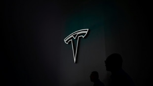 La croissance de Tesla plus lente, avant l'arrivée de la prochaine génération fin 2025