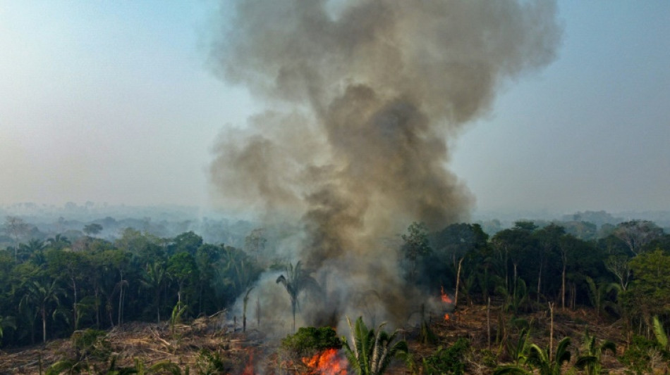 Casi 3.000 incendios en la Amazonía brasileña, récord para un mes de febrero