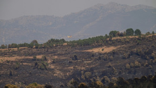 Mejora la situación de los incendios en España, Francia y Portugal