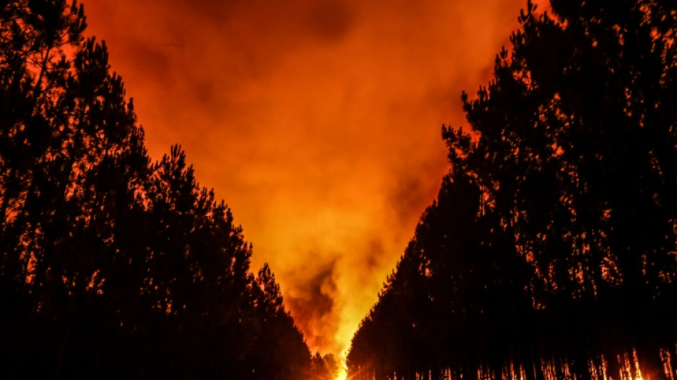 Feux de forêt en 2022: record de surfaces brûlées et d'émissions de carbone en Europe