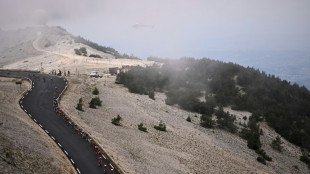 Après le Mont-Ventoux, la plaine des Maures ? Vers un 10e parc naturel régional en Paca