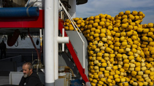 El Bósforo se queda sin peces por la sobrepesca, la contaminación y el tráfico marítimo