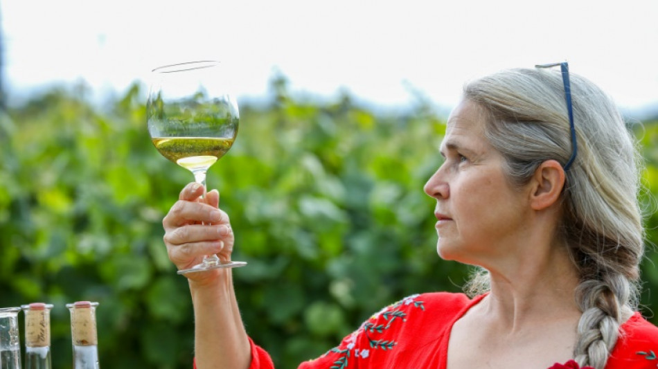 Climate change a mixed blessing for sun-starved Irish vintners
