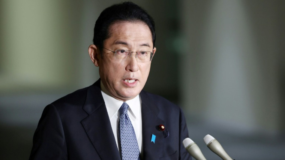 Japón apoya "firmemente" una solución "negociada" a la crisis en Ucrania