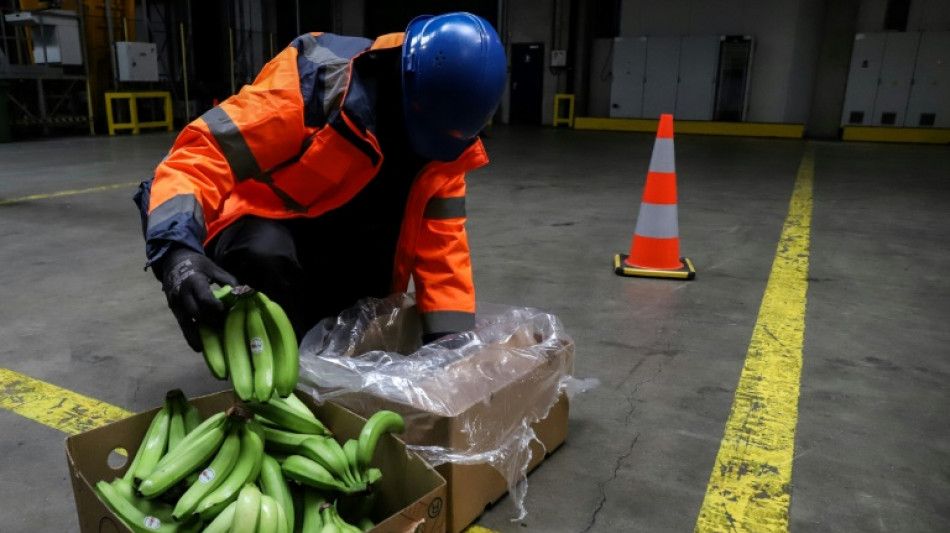 Près de 110 tonnes de cocaïne saisies en 2022 dans le port d'Anvers, nouveau record