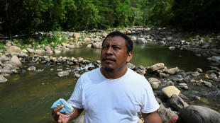 Environmental activist who feared for life killed in Honduras