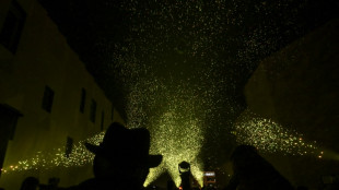 A Aix-en-Provence, un feu d'artifice "biodégradable" pour une "fête durable"