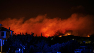 Grécia ordena evacuação e pede ajuda à UE por incêndios que se aproximam de Atenas