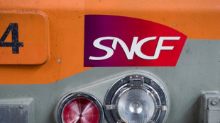 La restructuration de Fret SNCF est engagée 