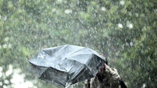 Wetterdienst: September in Deutschland ungewöhnlich nass und teils sehr warm