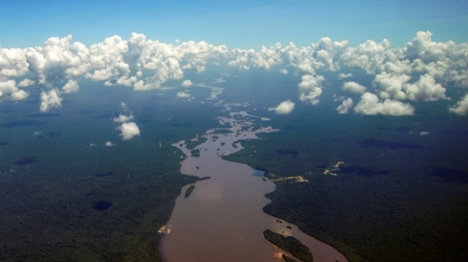 Crise sur l'Essequibo: inquiétude internationale, Venezuela et Guyana ouvrent "des canaux de communication"