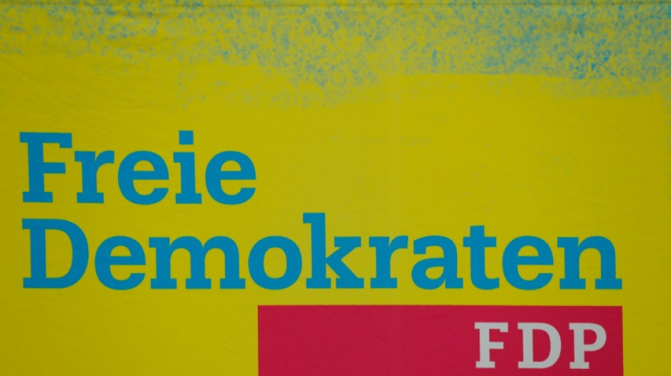 FDP-Fraktionschef Dürr zu Wirtschaft: "Nicht mehr Steuerzahlergeld ist die Lösung"