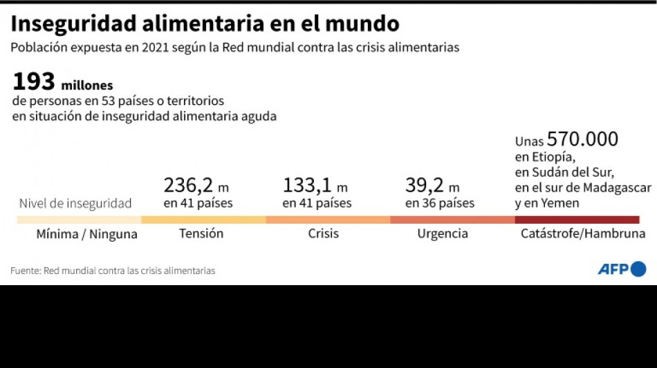 ONU advierte del fuerte aumento de la inseguridad alimentaria aguda en el mundo en 2021