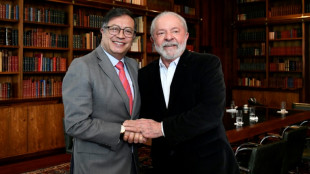 Lula e Petro concordam em fortalecer o combate aos crimes ambientais na Amazônia