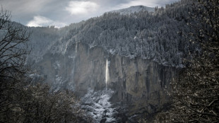 Swiss voters reject environment, pensions reforms: projected results