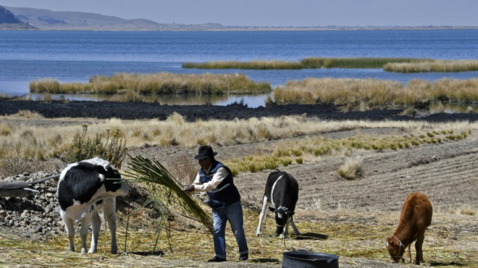 El cambio climático podría aumentar el número de muertes relacionadas con conflictos, afirma el FMI