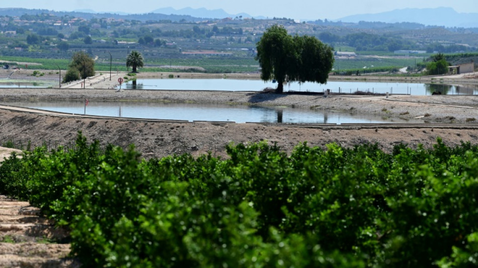 Réutilisation des eaux usées: en Espagne, "chaque goutte compte"