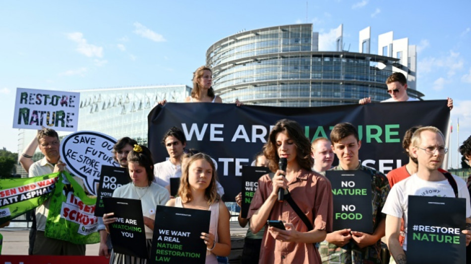 Eurodiputados debaten ley para restaurar los ecosistemas, pilar del Pacto Verde europeo