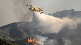 New heatwave hits Greece as wildfires rage