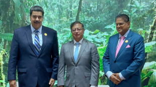 Desde la COP27, Petro y Maduro llaman a una alianza amazónica con todo por hacer