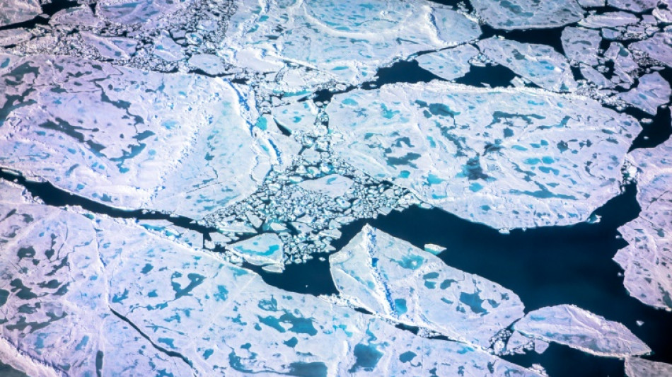 Auch für Eisbären wichtig: Presseisrücken in Arktis wegen Klimawandels auf Rückzug