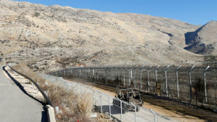 Israel aims to 'double population' in annexed Golan: PM