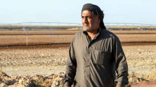 Dans le nord de la Syrie, les agriculteurs abandonnent leurs terres