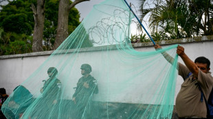 Guatemala declara emergencia nacional por epidemia de dengue