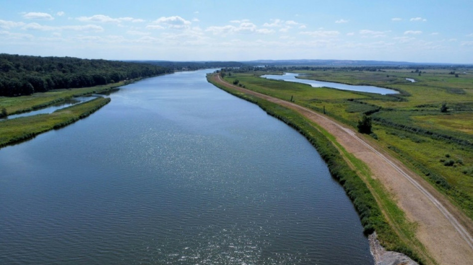 "Des poissons morts partout" : crainte de désastre environnemental en Allemagne et Pologne 