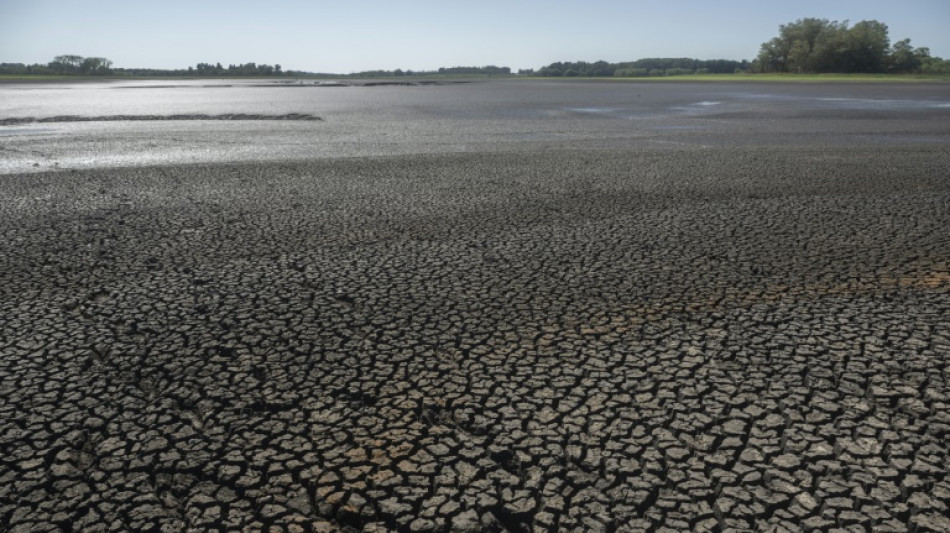 L'eau salée des robinets de Montevideo, conséquence de la sécheresse en Uruguay