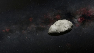 Large asteroid to zoom between Earth and Moon