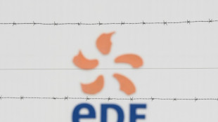 EDF, Air France-KLM, el Estado francés accionista otra vez al rescate de las "joyas" francesas