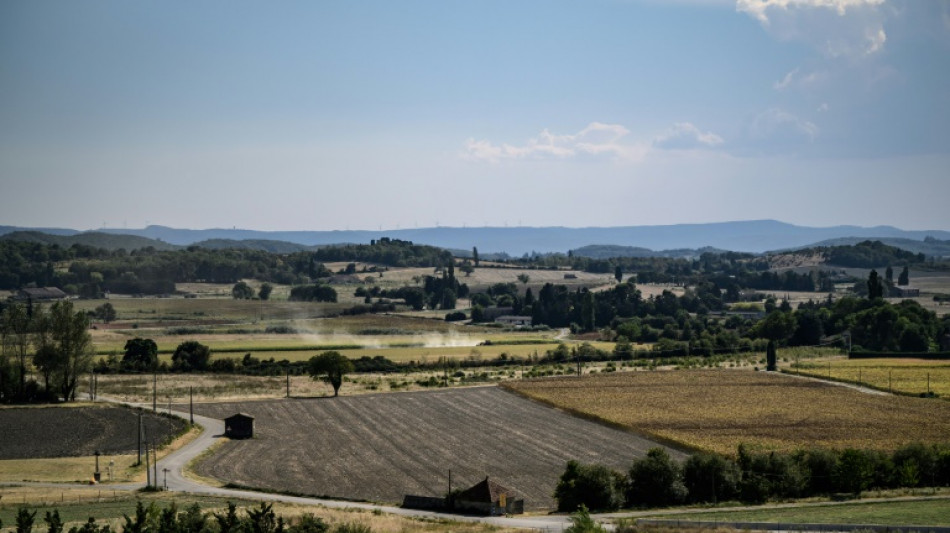 Des agriculteurs misent sur l'habitat léger pour s'installer, non sans mal