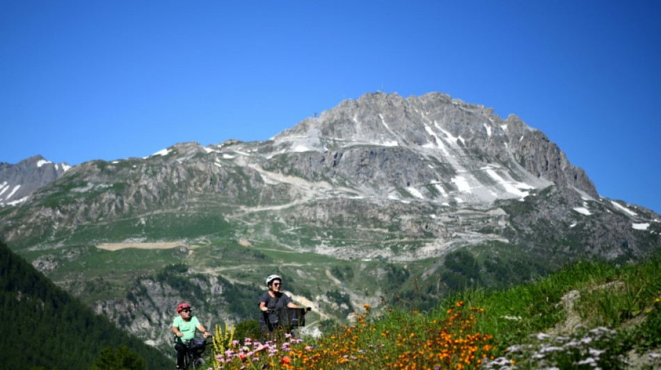 Savoie: des milliers de brins de génépi et fleurs d'edelweiss saisis sur des randonneurs