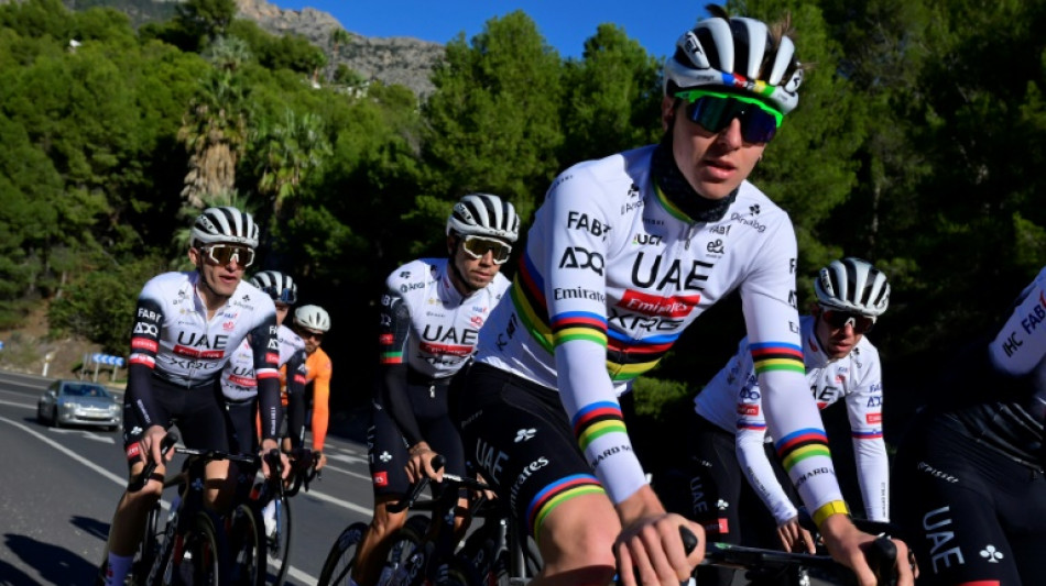 "Une autoroute pour cyclistes": sur la Costa Blanca, dans la fourmilière du peloton pro