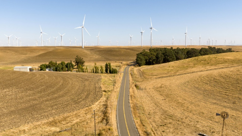 Une communauté rurale menacée par les plans utopiques de la Silicon Valley