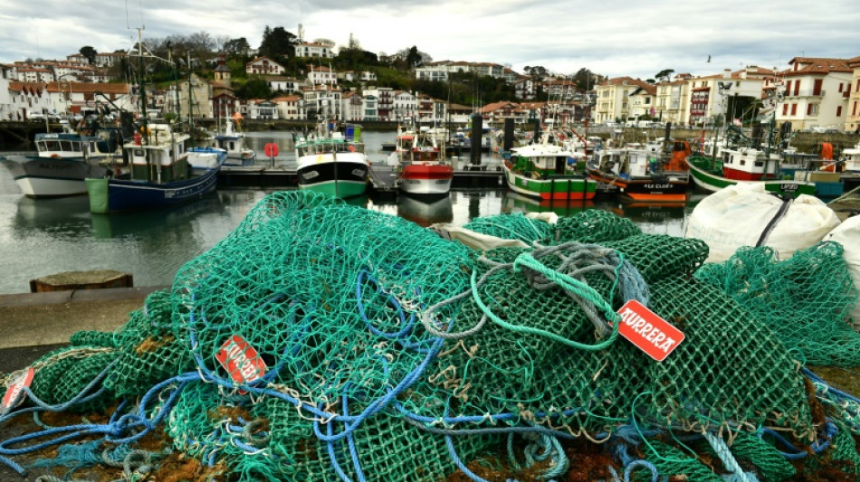 Golfe de Gascogne: interdiction de pêche inédite pour protéger les dauphins