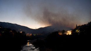 Dans le Gard, un feu qui va durer "plusieurs jours", ravage des hectares de forêt