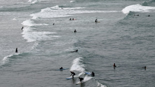 Una primera y simbólica "reserva de olas" creada en Francia 