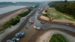 Mudança climática favoreceu a seca na Amazônia em 2023, afirma estudo