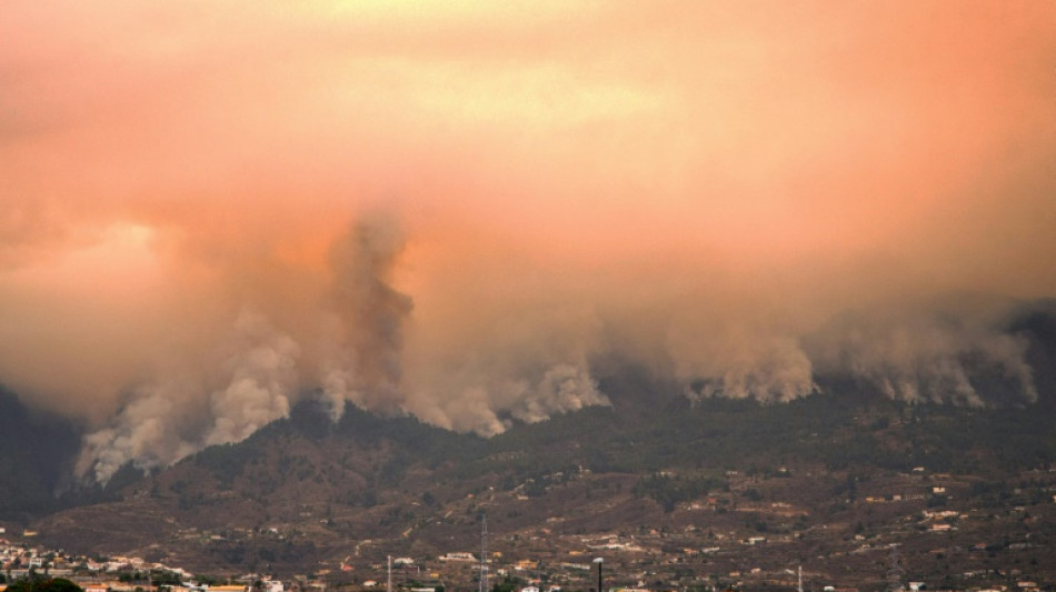 Feuerwehr kämpft weiter gegen Waldbrand auf Teneriffa