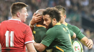 Rugby: l'Afrique du Sud remet les pendules à l'heure face aux Gallois