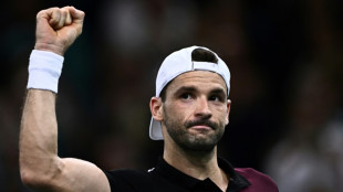 Medvedev cae eliminado en su entrada en liza en el torneo de tenis de París-Bercy