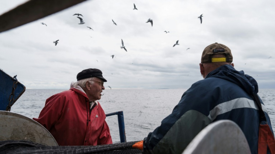 Dans la mer Baltique, le hareng menacé par le réchauffement des eaux