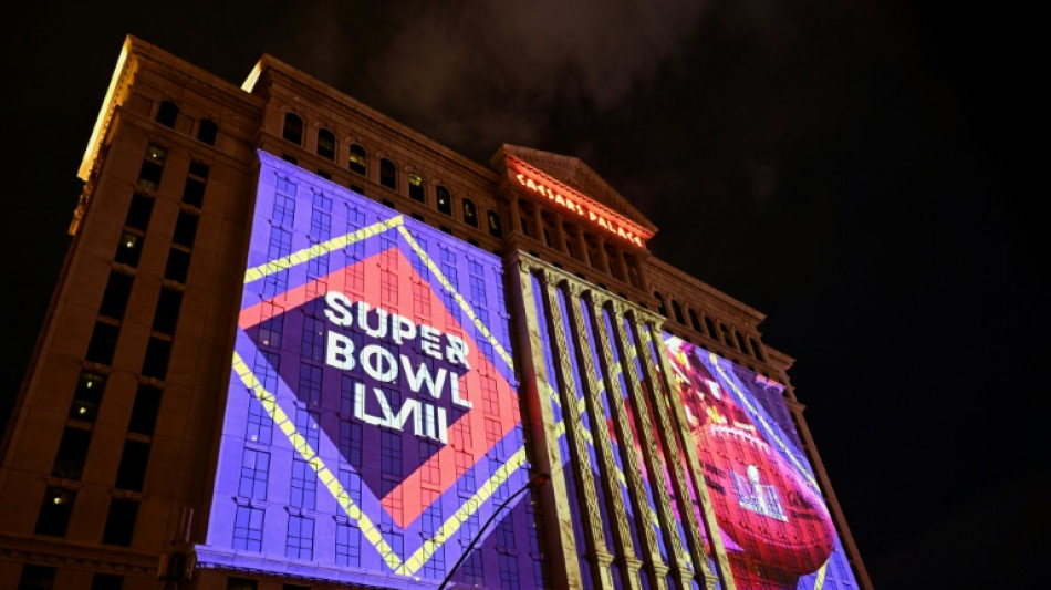 Célébrités, humour, les pubs du Super Bowl évitent les sujets qui fâchent