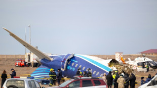 Kremlin cautions on 'hypotheses' over plane crash