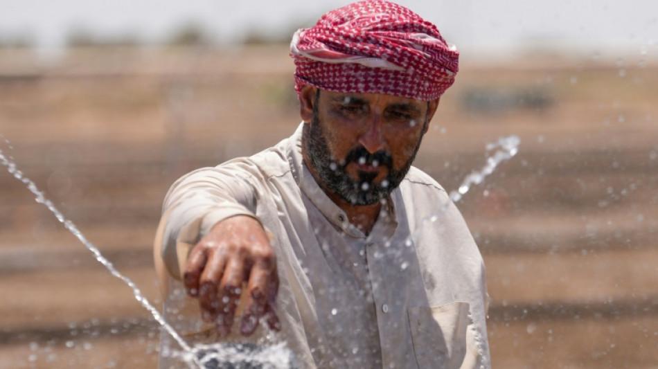 Los campesinos de Irak innovan para salvar su producción de arroz