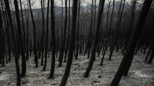 Greek fires continue to rage, as toll rises to 21