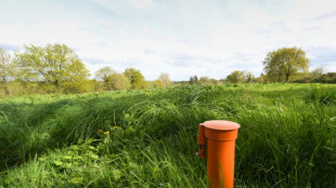 Sécheresse: 68% des nappes phréatiques françaises toujours sous les normales